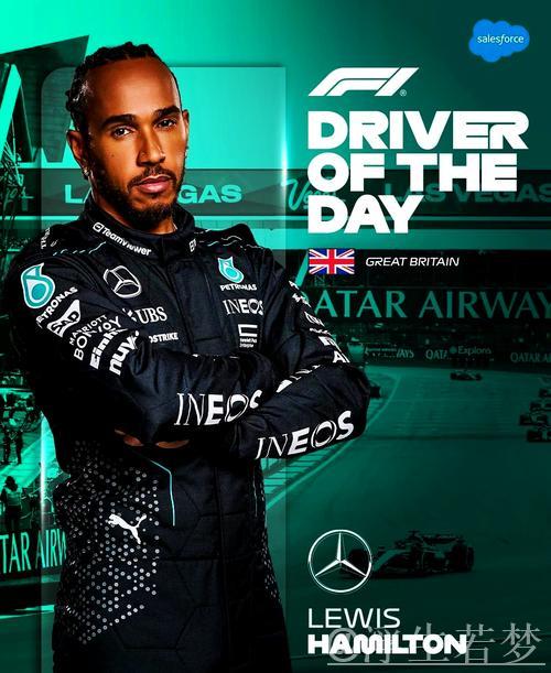 汉密尔顿因超出赛道界限遗憾止步排位赛Q1